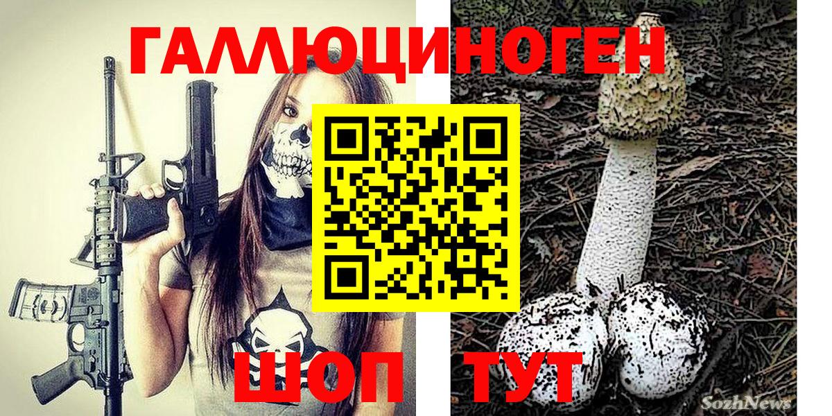 Галлюциногенные грибы мухоморы Мичуринск