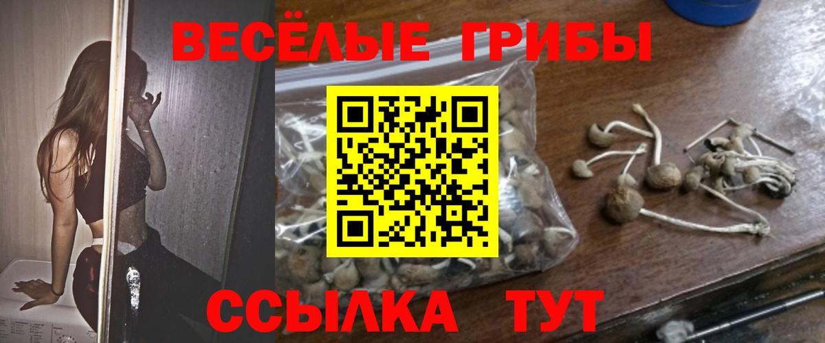 Мичуринск  Галлюциногенные грибы MAGIC MUSHROOMS  Вход с VPN 